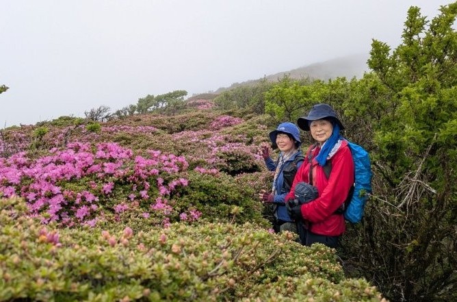 2026年5月22日～25日　祖母山・大船山・韓国岳/九州