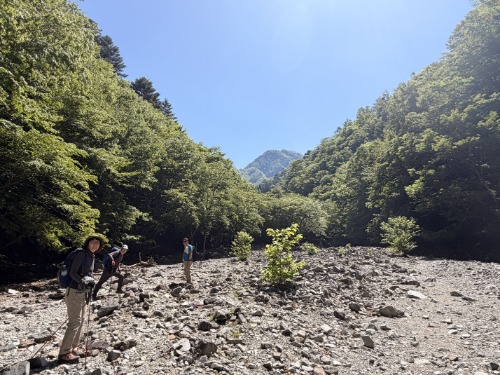 沢沿いを行きます。