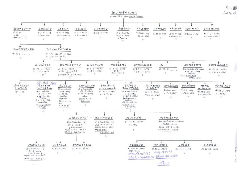 Albero Genealogico 5