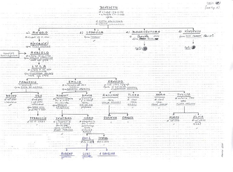 Albero genealogico 4