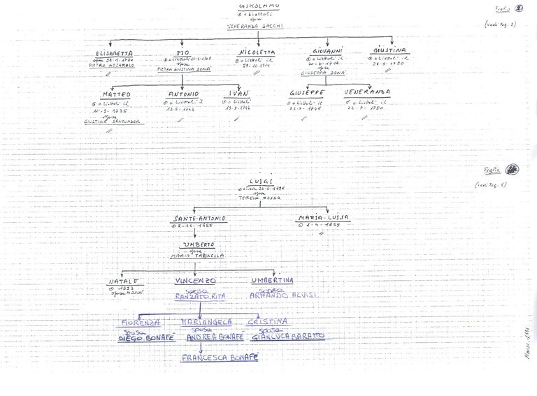 Albero Genealogico 3