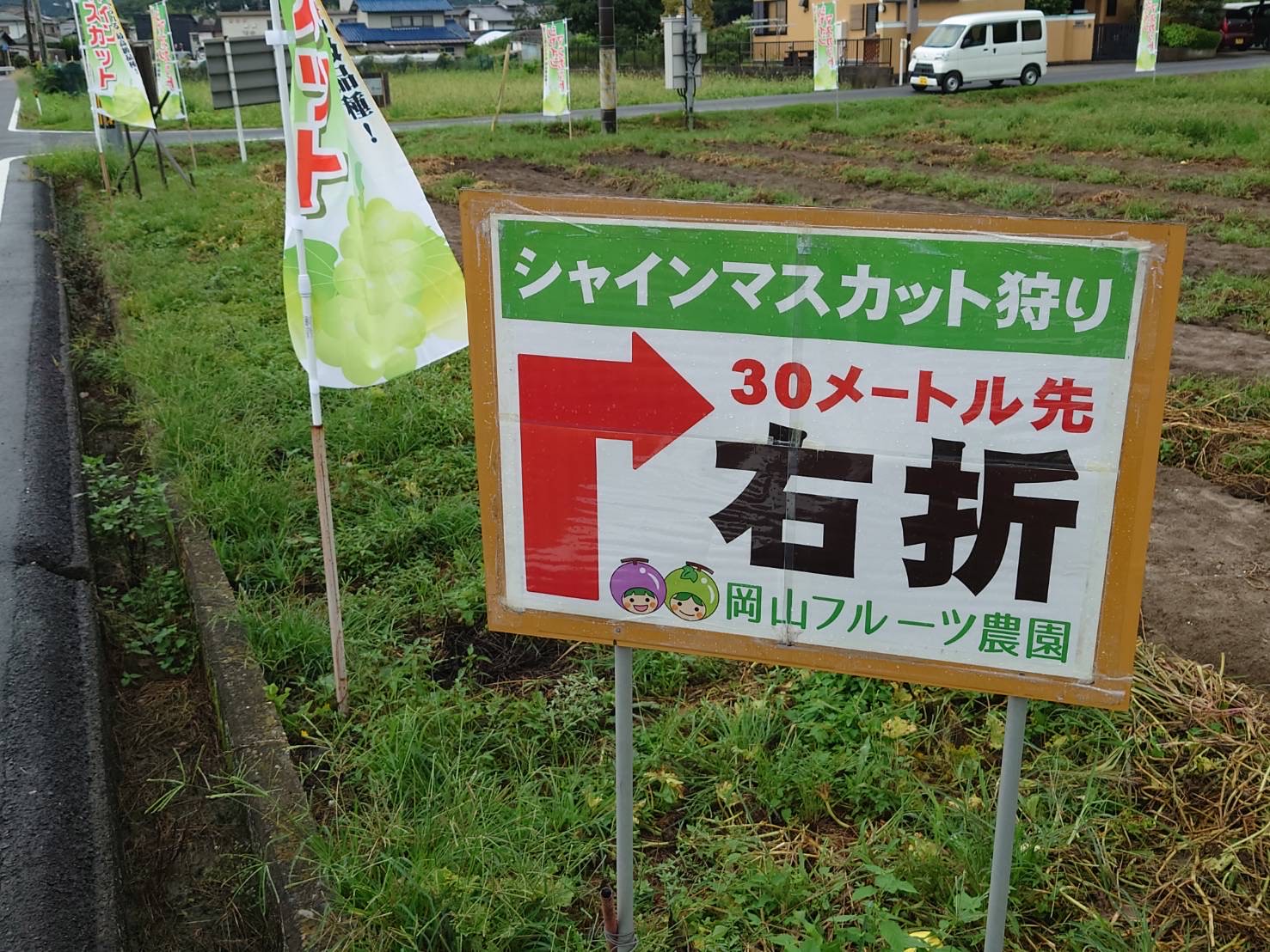 シャインマスカット狩り 予約受付中 岡山でシャインマスカット狩りなら 岡山フルーツ農園 シャインマスカット狩り 予約受付中 岡山でシャインマスカット狩りなら 岡山フルーツ農園