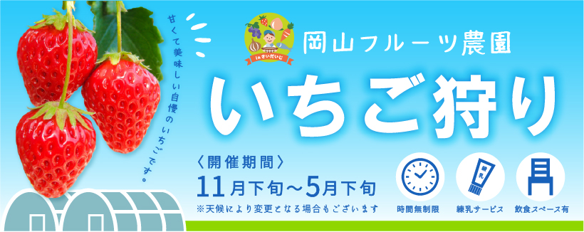 いちご狩り 岡山フルーツ農園 いちご狩り 岡山フルーツ農園