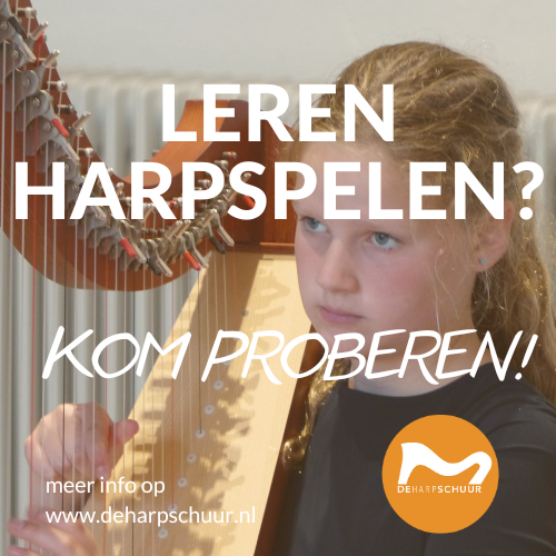 Vanaf 6 jaar kan je al leren harpspelen!