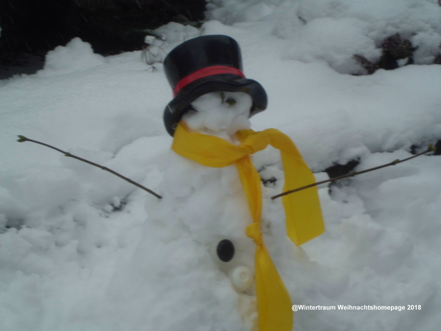 Schneemann bauen Versuch Januar 2017 Garten