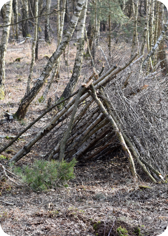 Witterungsschutz bauen