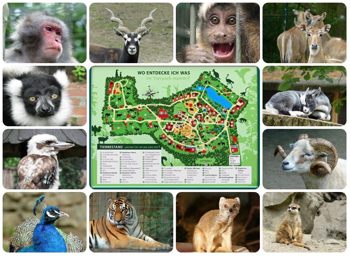 Tierpark Hamm 2014 Webseite!