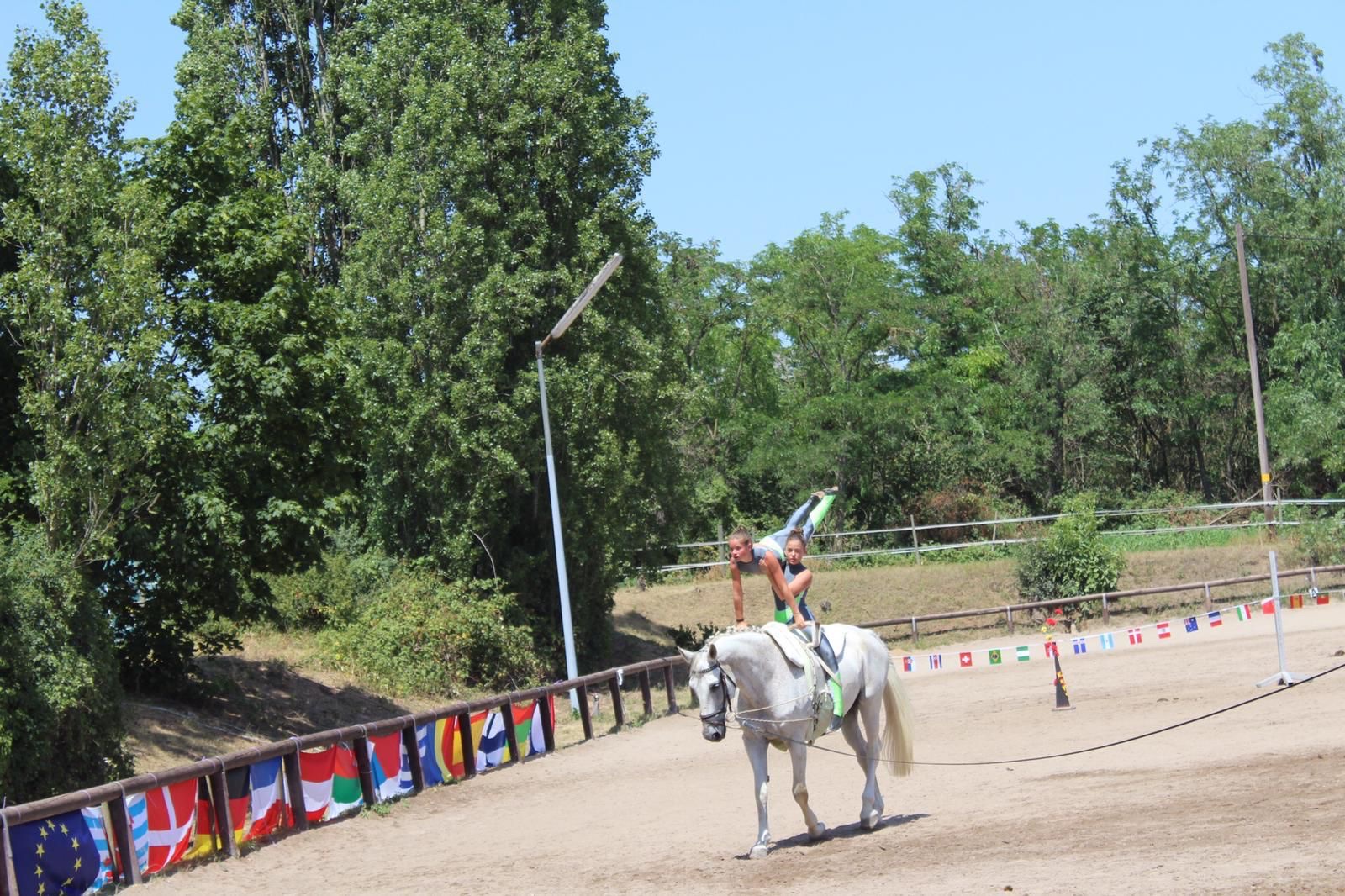 Voltigieren - Reiterverein Mannheim-Vogelstang-Wallstadt e.V.