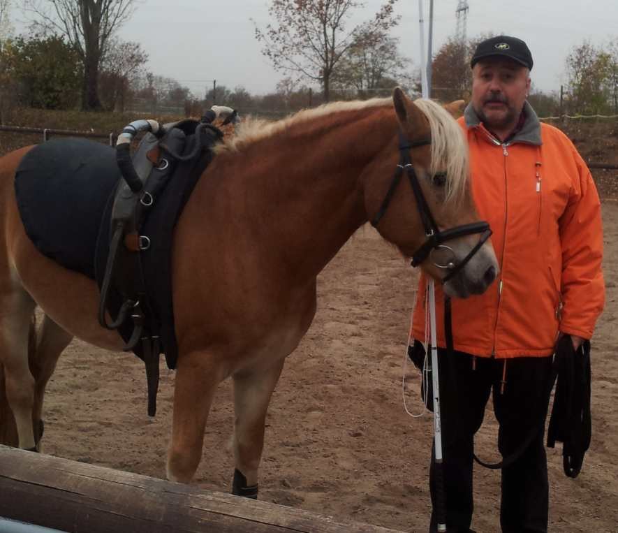 Heaven - richtiger Name Hart of Heaven - Reiterverein Mannheim ...