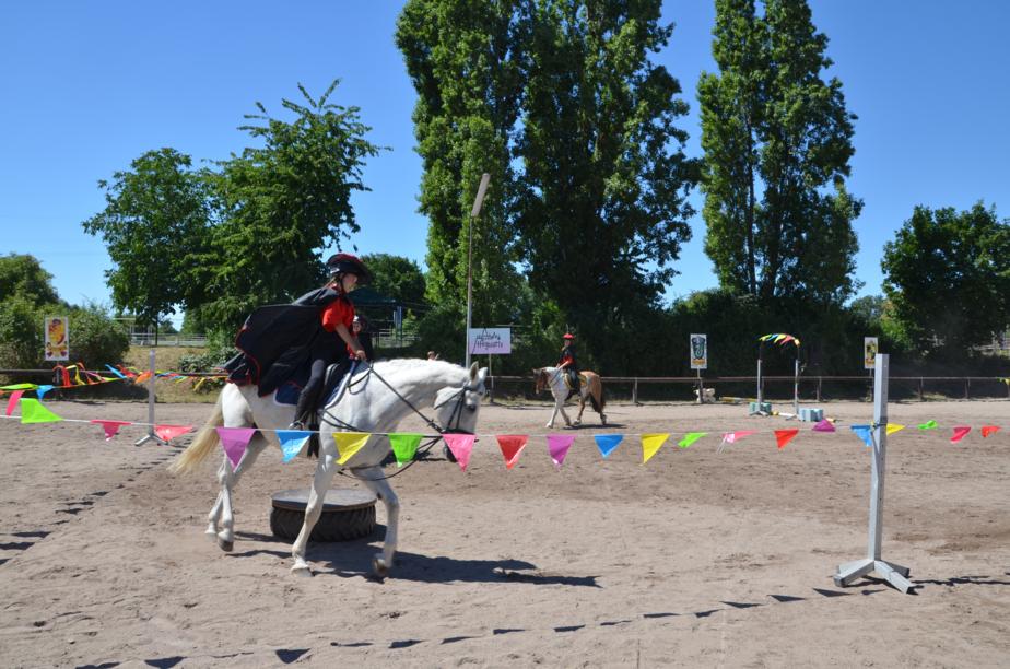 Reiten - Reiterverein Mannheim-Vogelstang-Wallstadt e.V.