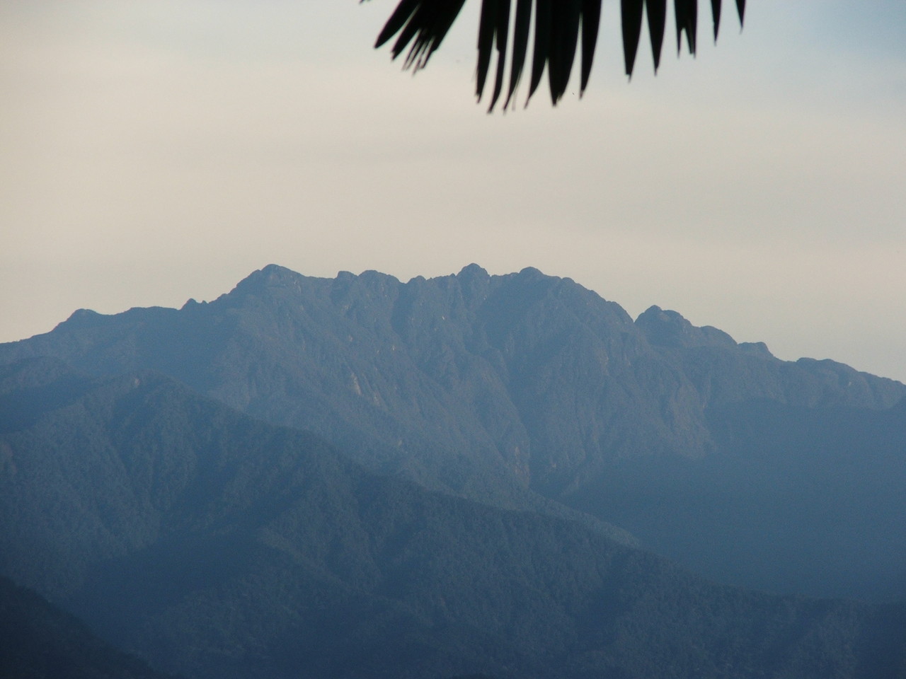 Cerro del Tatamá, vista hacia el occidente.