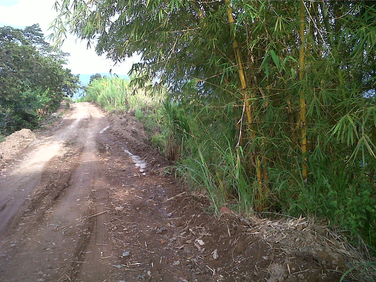 Aspecto de la vía hacia la vereda Puracé, en el lindero norte de la reserva una vez restaurado dicho sector con gaviones.