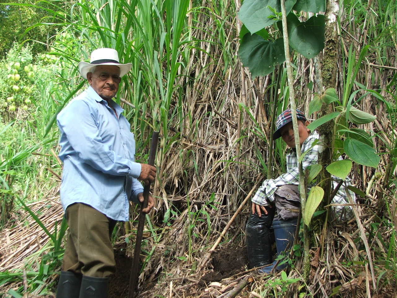 8/06/2013. Don Áristides Rubiano como apoyo por parte de la vereda la Cancha, participo en la restauración ecológica de un área de ladera de la microcuenca.