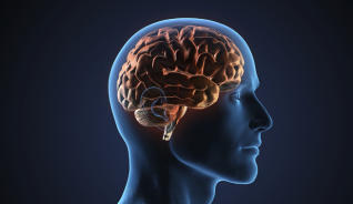 Proyecto "Alimenta tu cerebro"