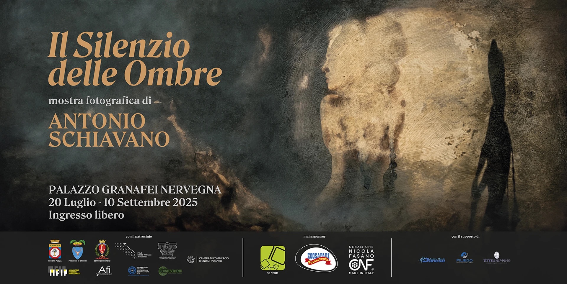 "Il Silenzio delle Ombre" di Antonio Schiavano