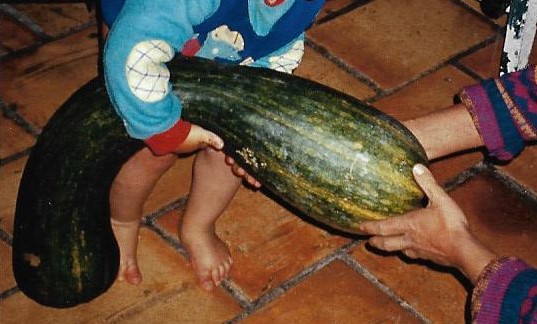 Aide moi à faire seul