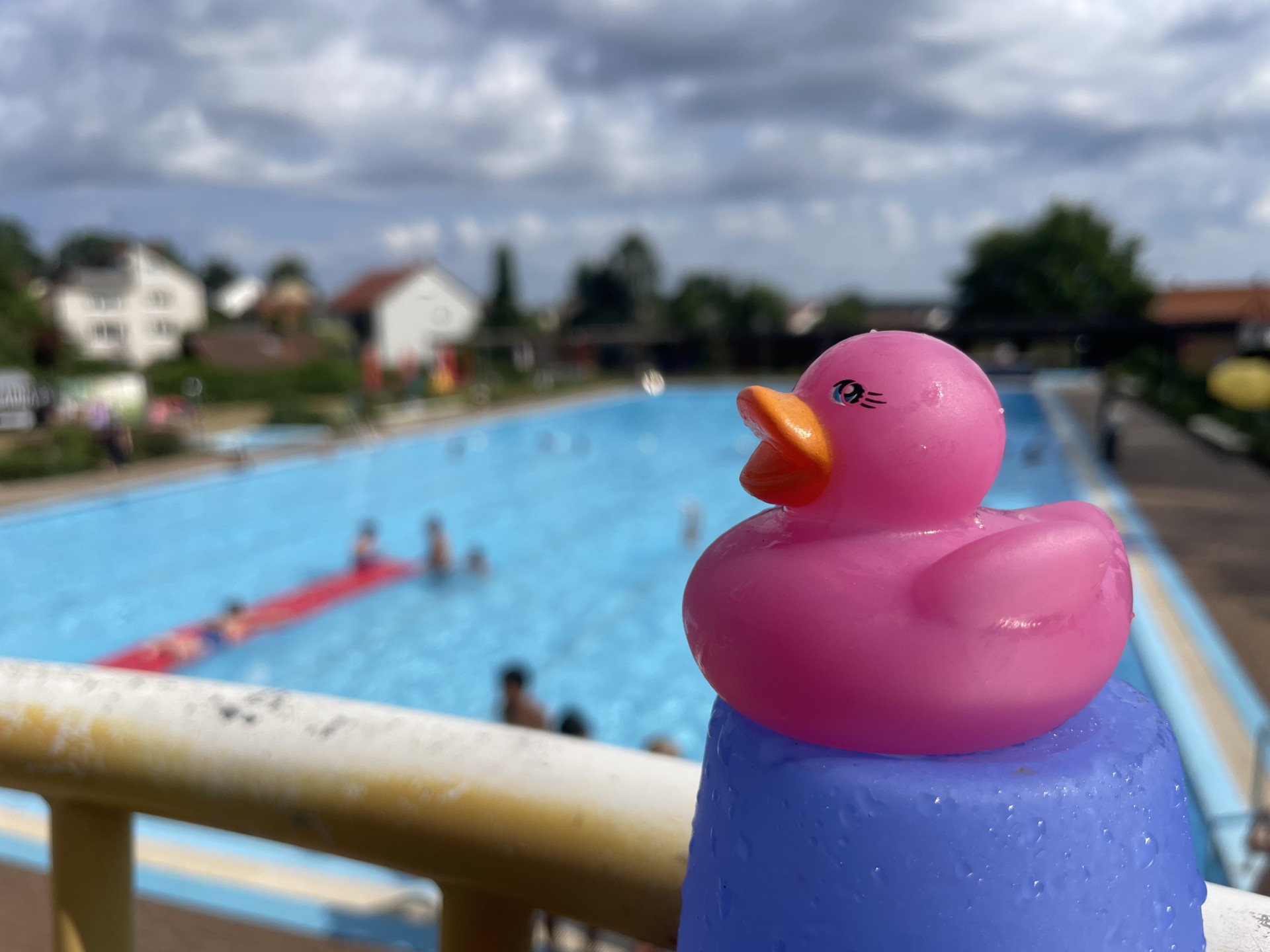 Schwimm- und Sportfest an der Grundschule Lichtenau
