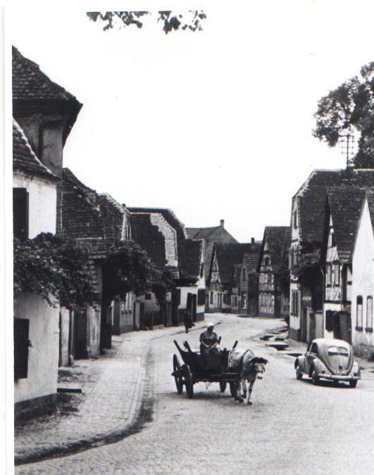 Hauptstraße, ca. 1950 von Osten zum Unterdorf, Kuhfuhrwerk