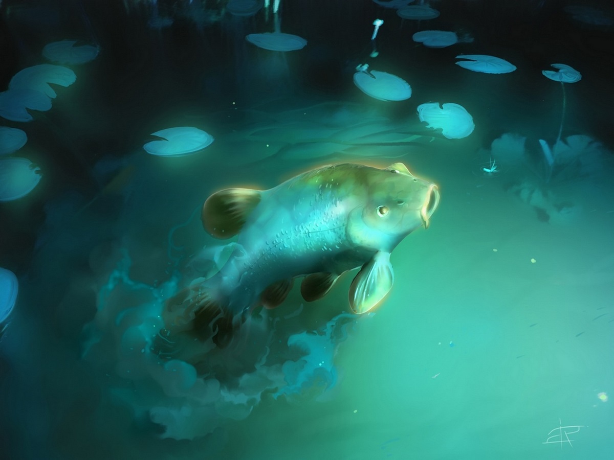 Tench