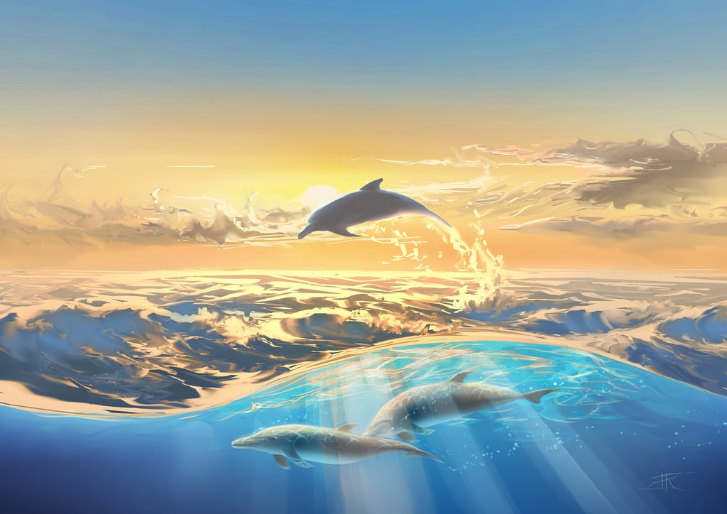 Free in the Sea