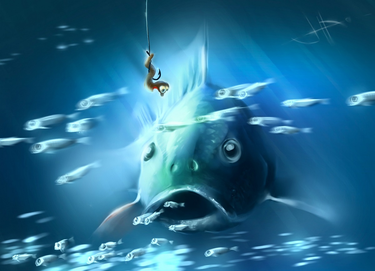 Perch