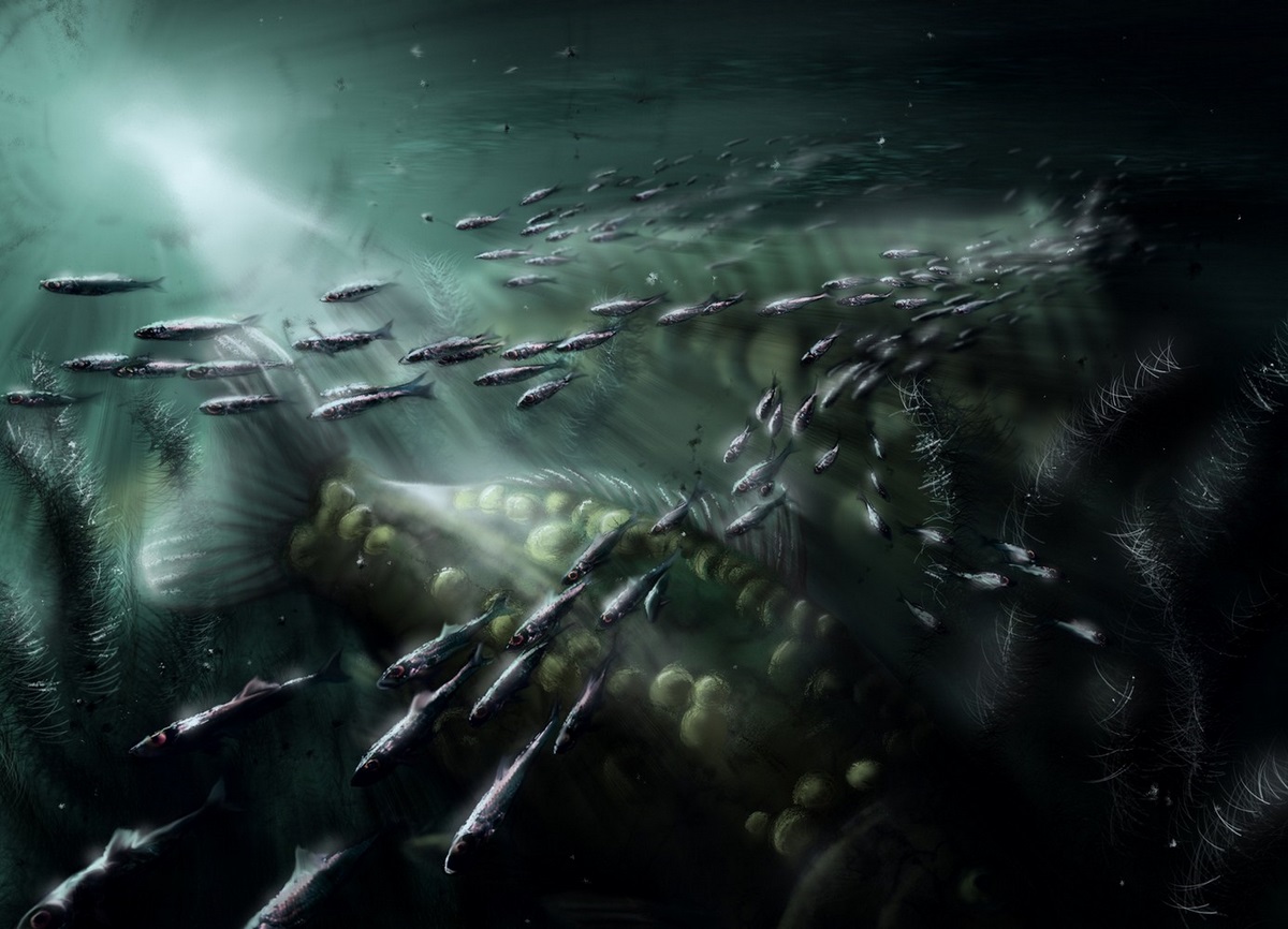 Ghosts of the Lake