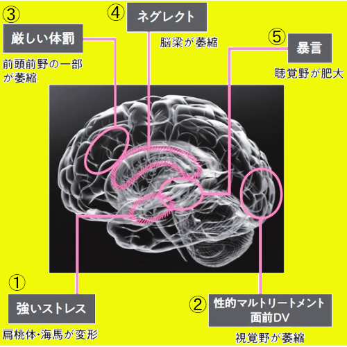 生存戦略～からだの防衛機制～