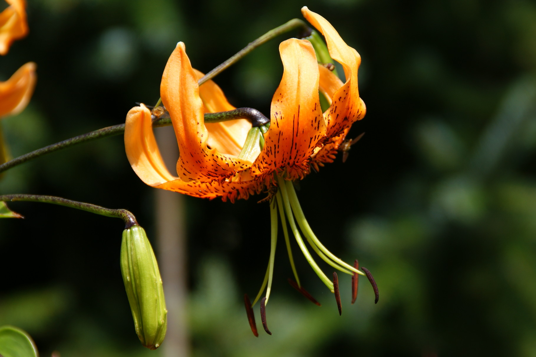 Galerie - rosen-wald