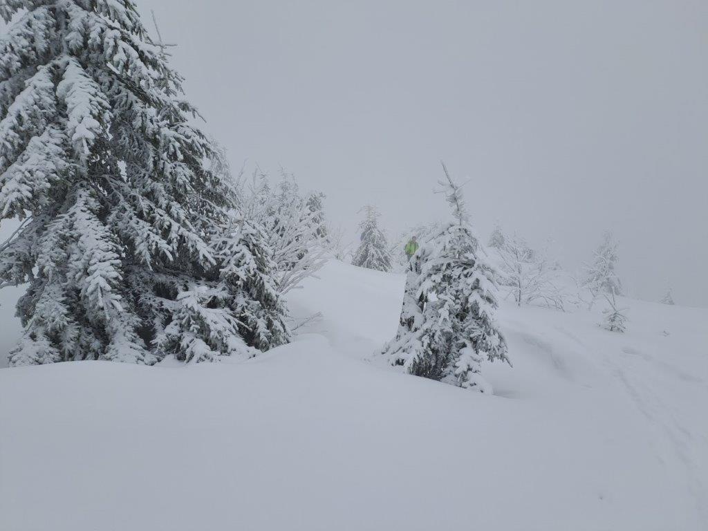 Auf der Suche nach Schnee - Sektions-Skitoureneröffnung