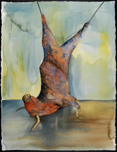 Toro colgado 2007, acuarela 76X56 cm