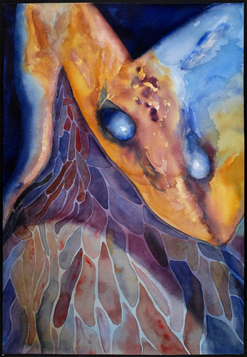 Tejido 2007, acuarela 53X35.5 cm