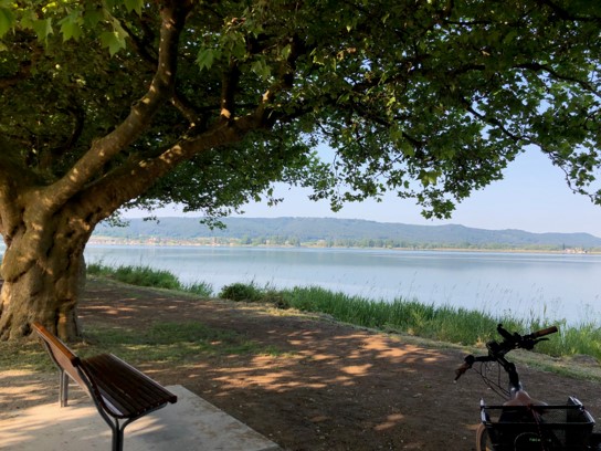 Von Radolfzell am Bodensee nach Tuttlingen