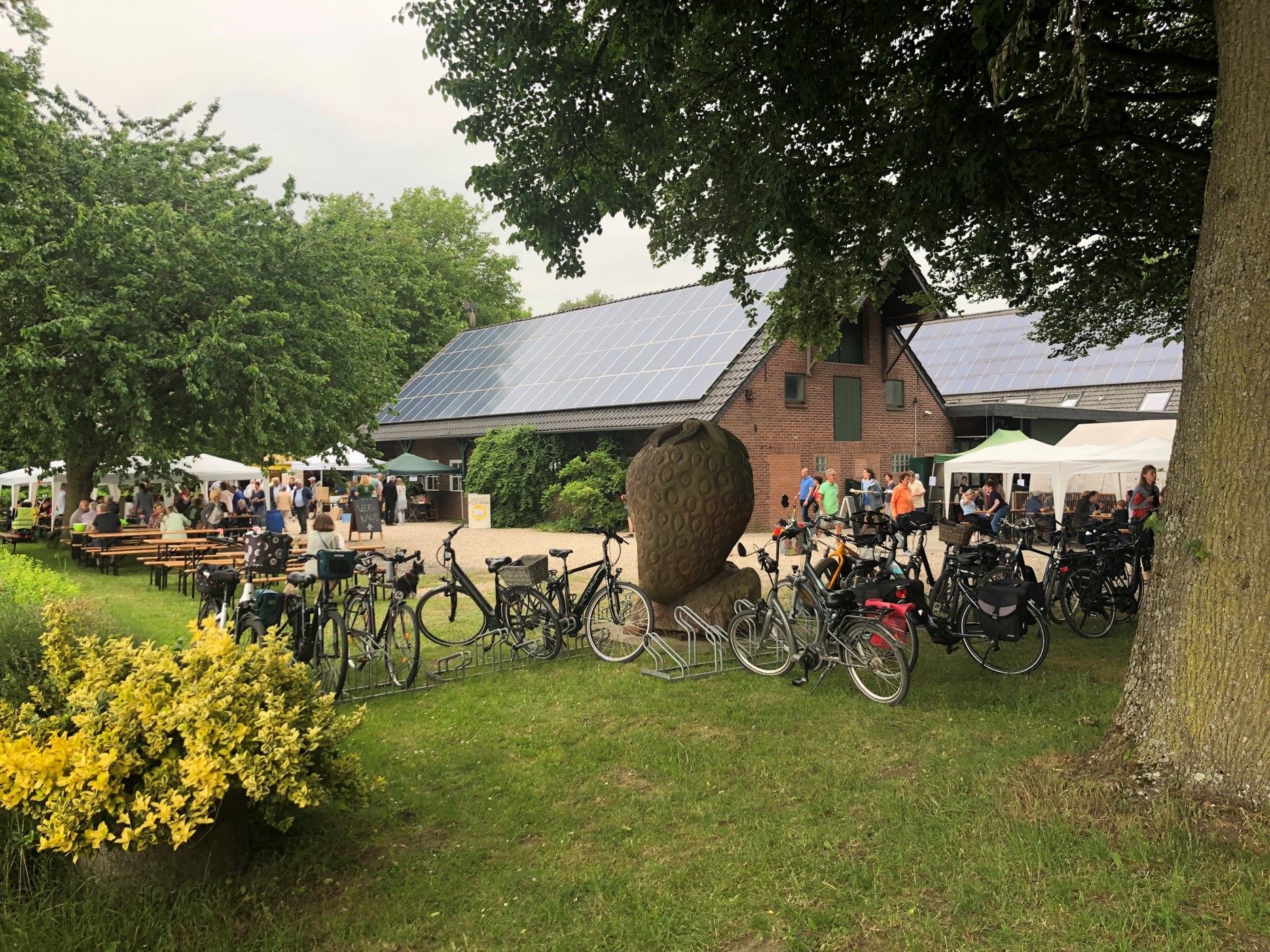 Pfingsten - Ruhetag - Spargelhoffest