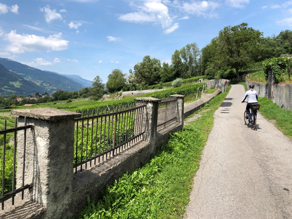 Rhein-Route Nr. 2 Chur - Buchs