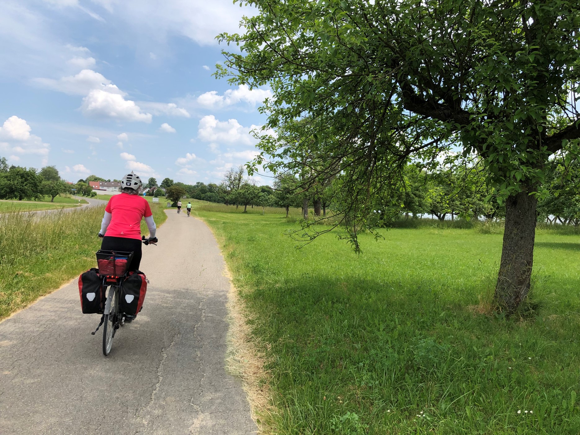 Von Sigmaringen bis Ulm