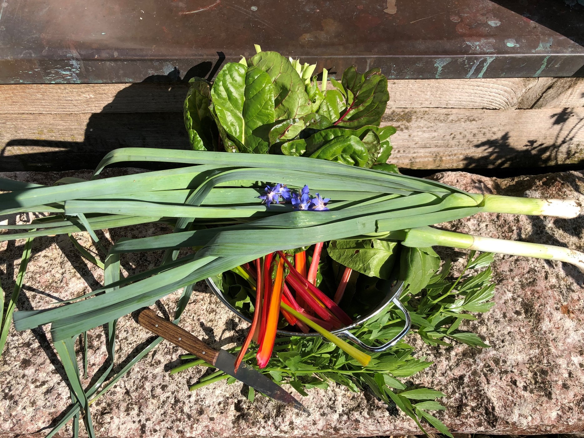 Gartenernte