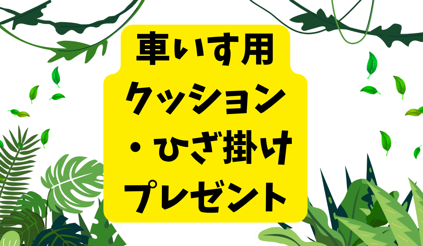【プレゼント】車いす用クッション・ひざ掛け　プレゼント
