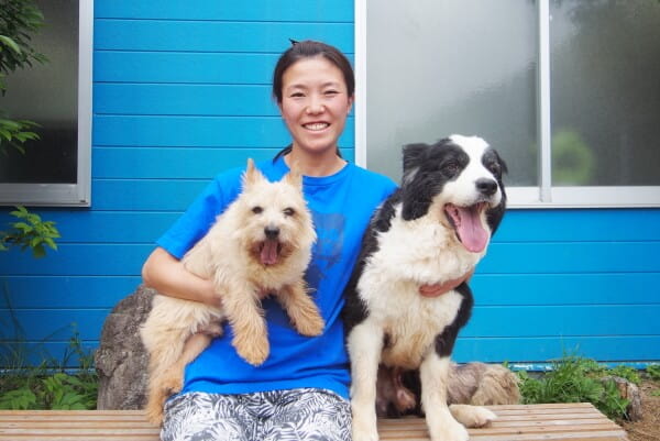犬をアジリティスポーツで訓練する方法