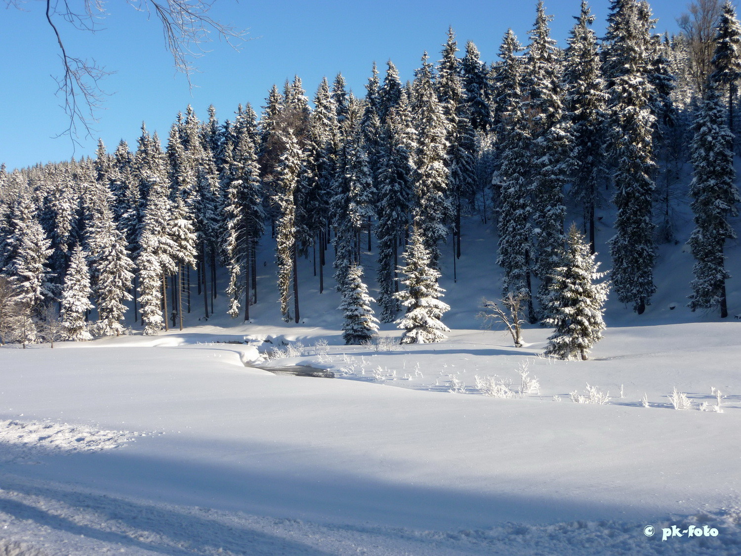Nähe Altenberg im Erzgebirge