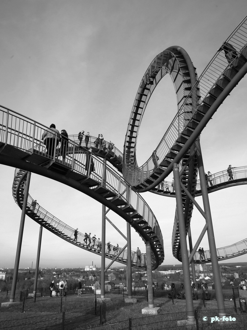 Tiger and Turtle