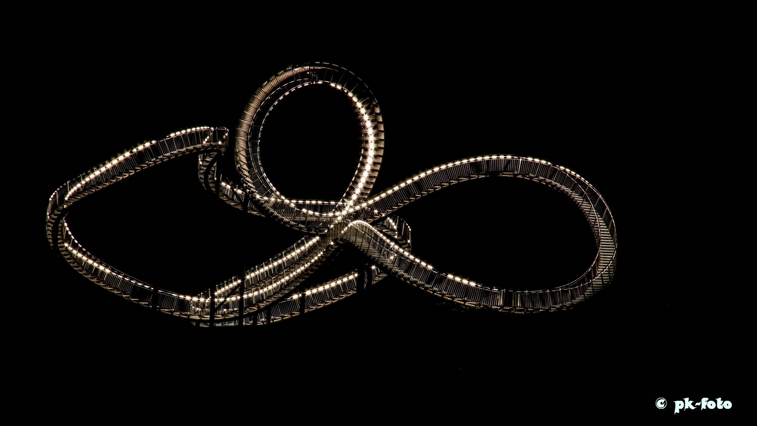 Tiger and Turtle