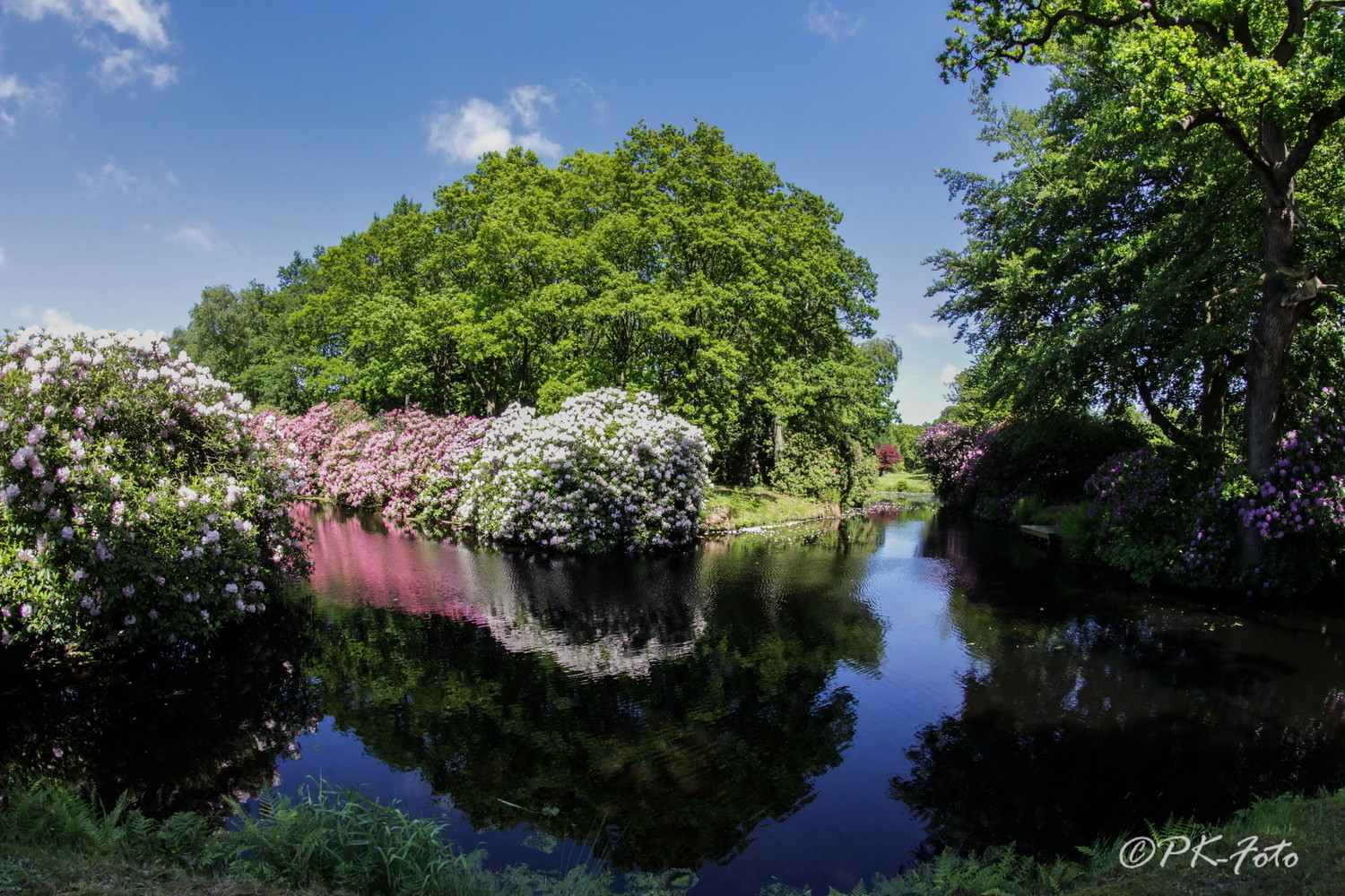 Schlosspark Lütetsburg