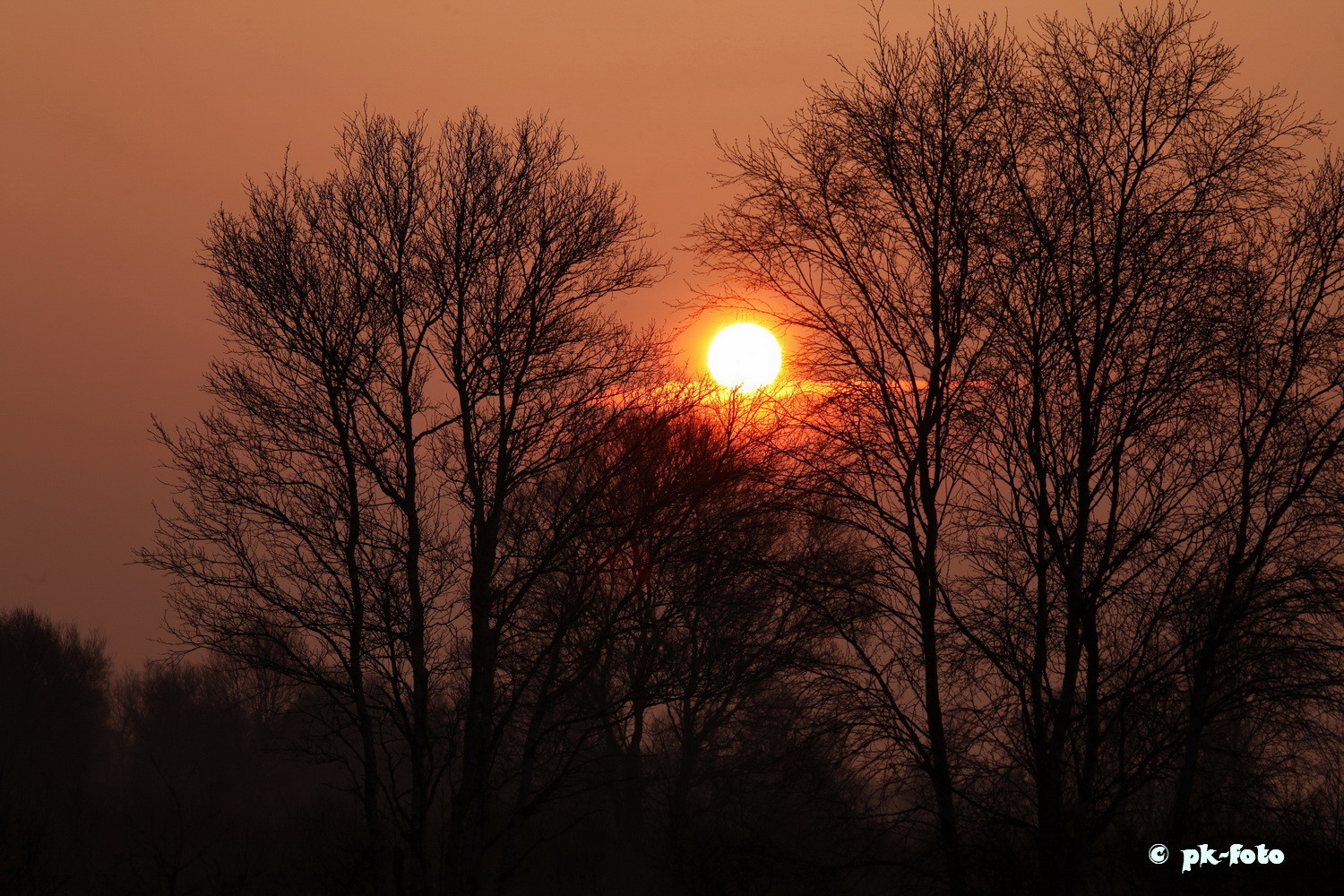 Sonnenaufgang am Ewigen Meer