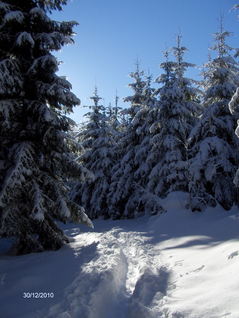 Winterfreuden