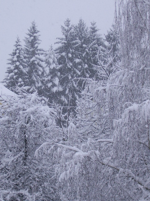 Schneefall vor unserer Tür