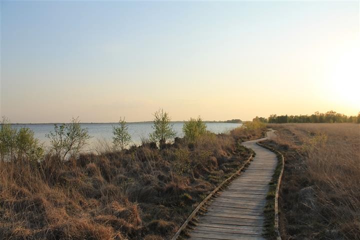 Bohlenweg am Ewigen Meer