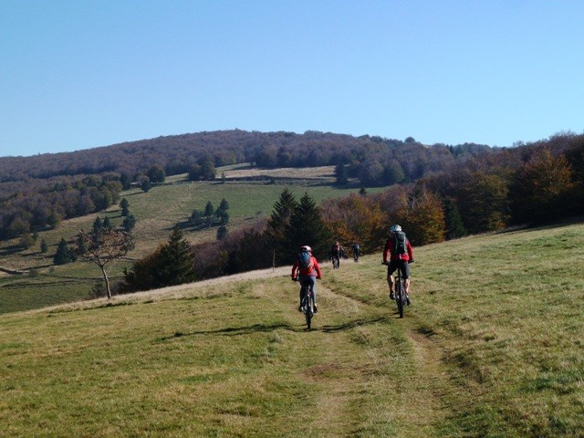 Randonnée VTT :entre Markstein et Honneck