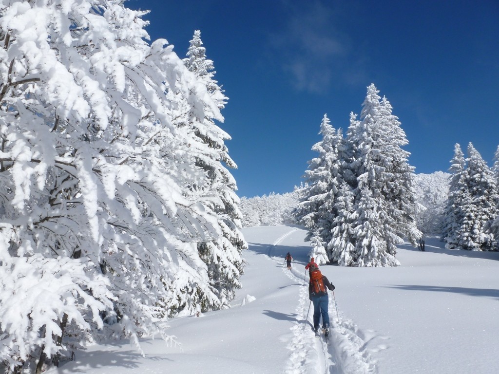 ski de randonnée au Grand Ballon