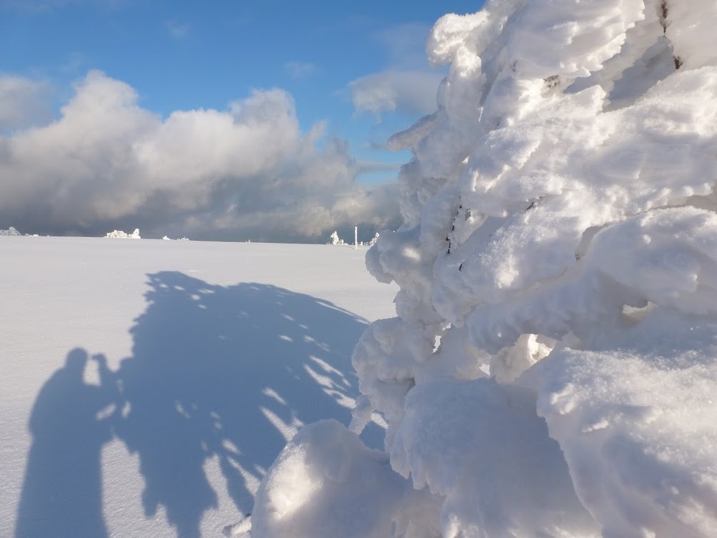 Sur les crêtes entre le Markstein et le Grand-Ballon,