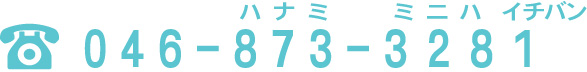 046-873-3281